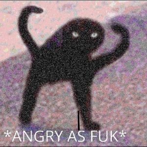 Meet your Posher, Zane